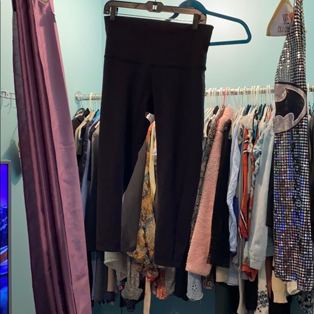 Black HR wunder under crop
